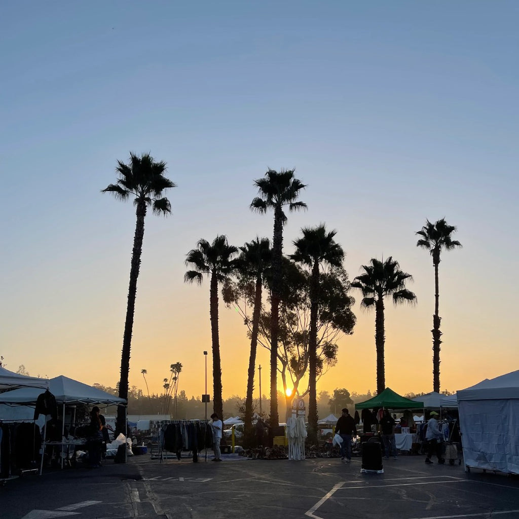 LA Sunset Scene